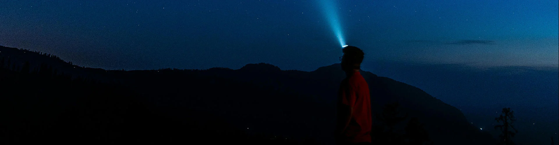 独自のブランドを作成する