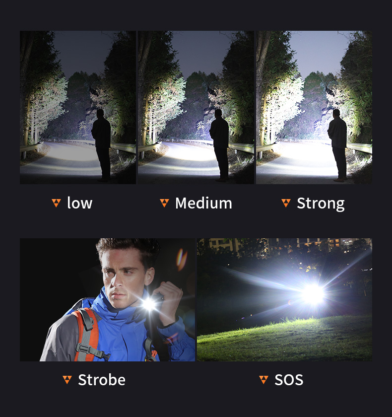 flashlight-distributor-07.jpg flashlight-distributor-07.jpg